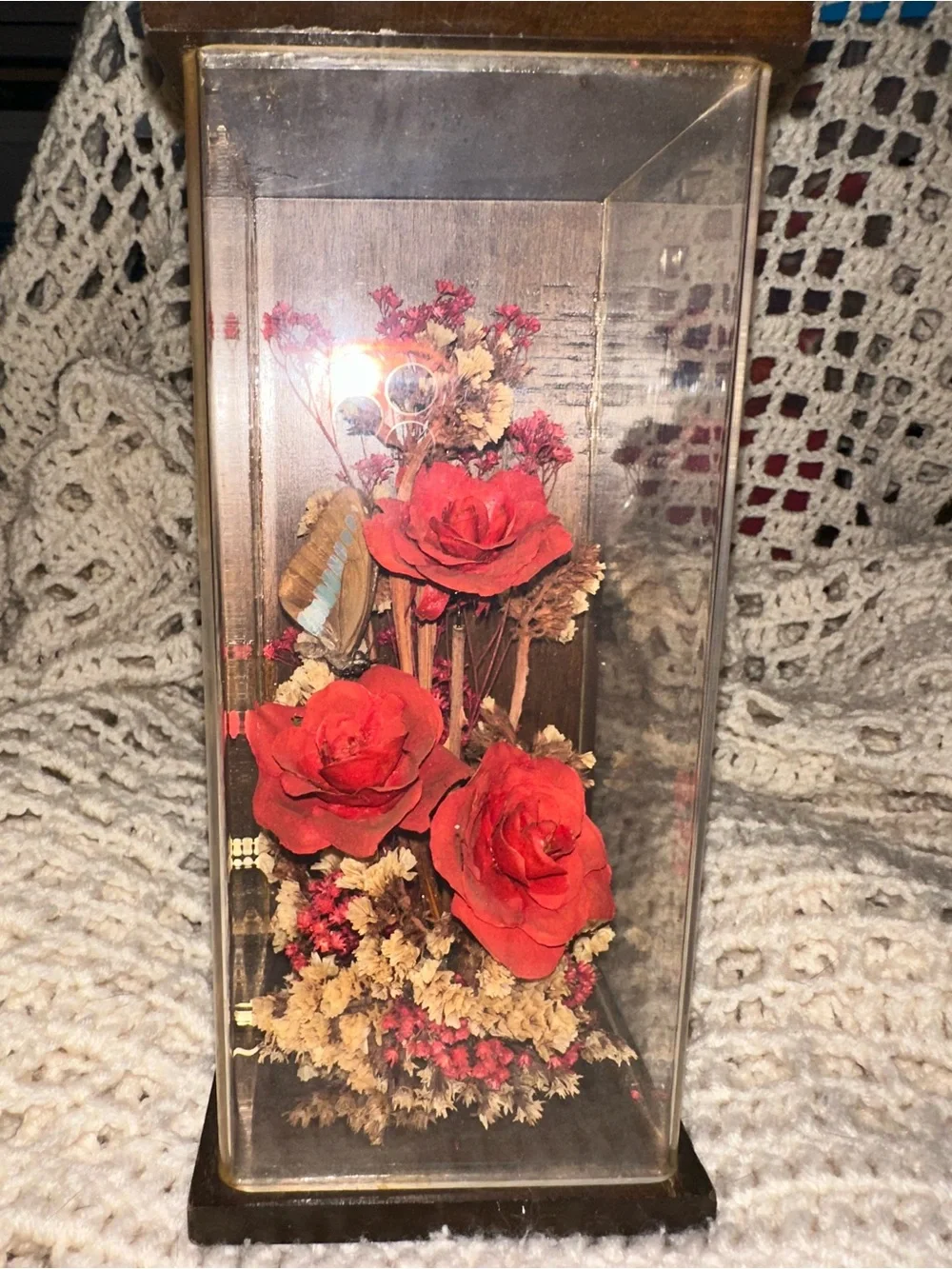 Red Rose Preserved Floral Display in Glass Case